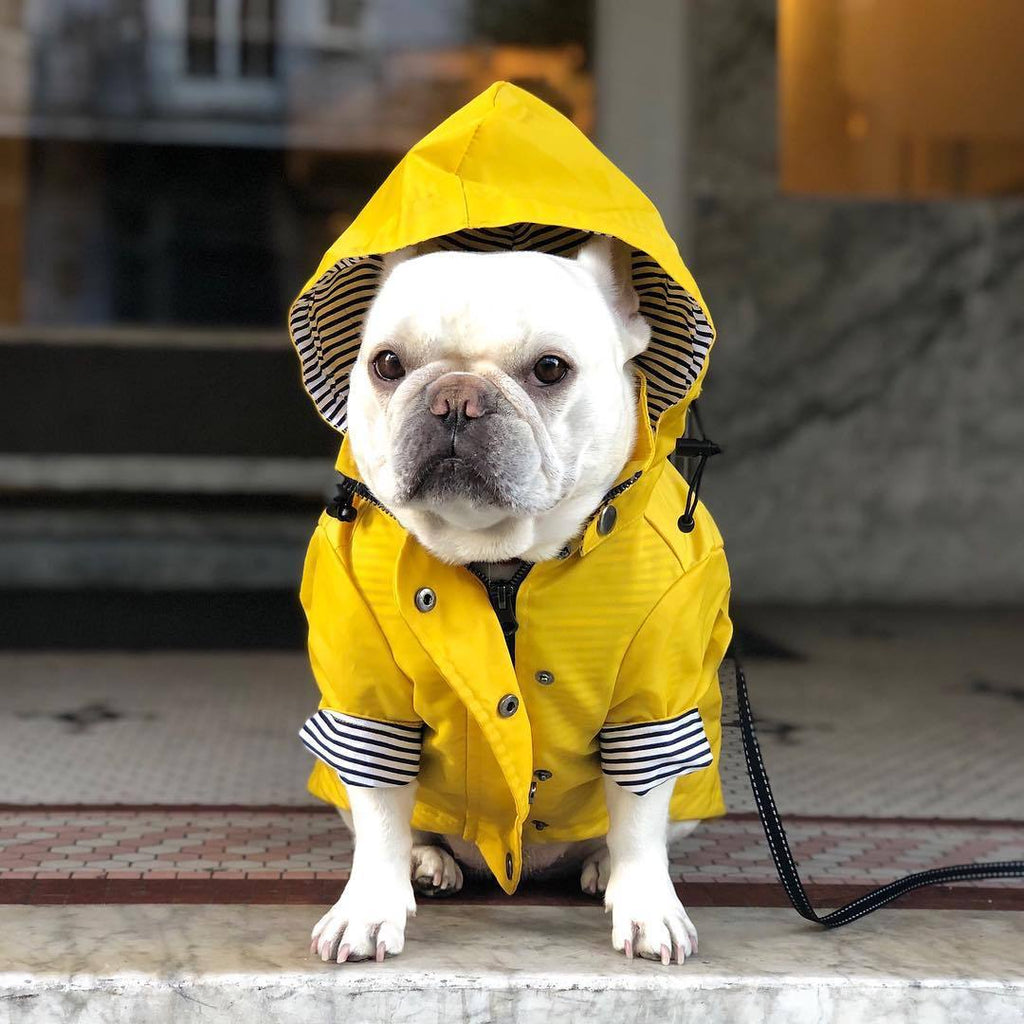 Tide Brand Retro Windproof Padded Dog Raincoat