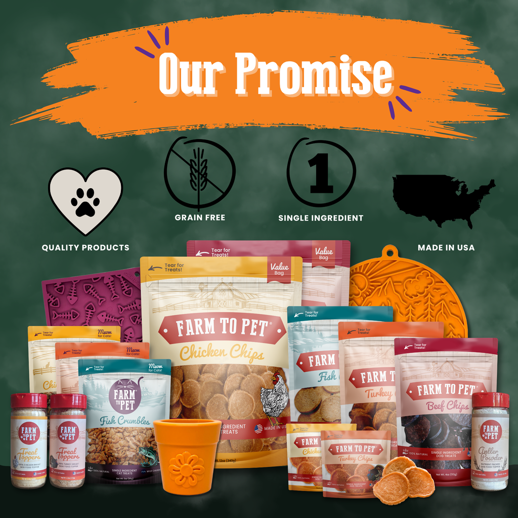 Halloween Dog Treat Snack Pack Bundle